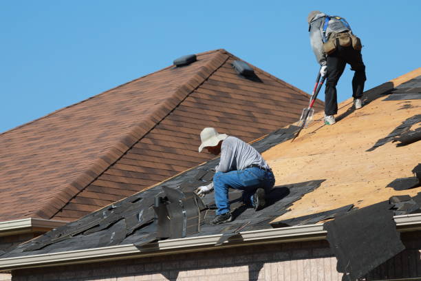 Best Roof Installation  in Jasper, GA