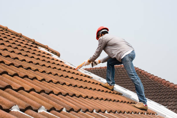  Jasper, GA Roofing services Pros