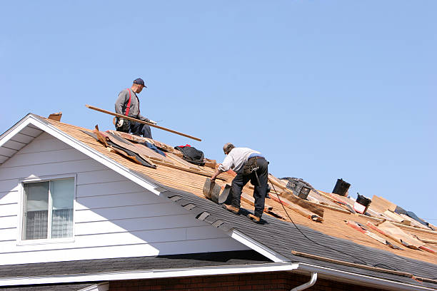 Best Solar Panel Roofing Installation  in Jasper, GA